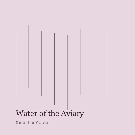 Water of the Aviary by Delphine Castell (2009) — cover